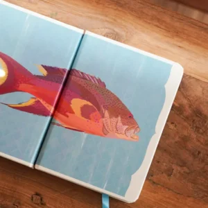 Grouper Mini Journal