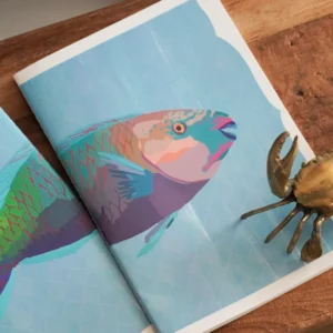 Parrotfish Notebook