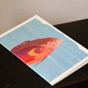 Grouper Notebook