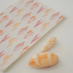 Boli Coral Notebook
